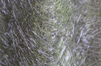 Horton Kirby fibreglass roof work